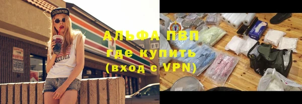 тгк Инта
