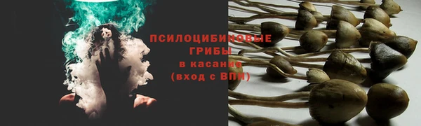 тгк Инта