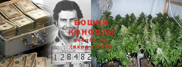 тгк Инта